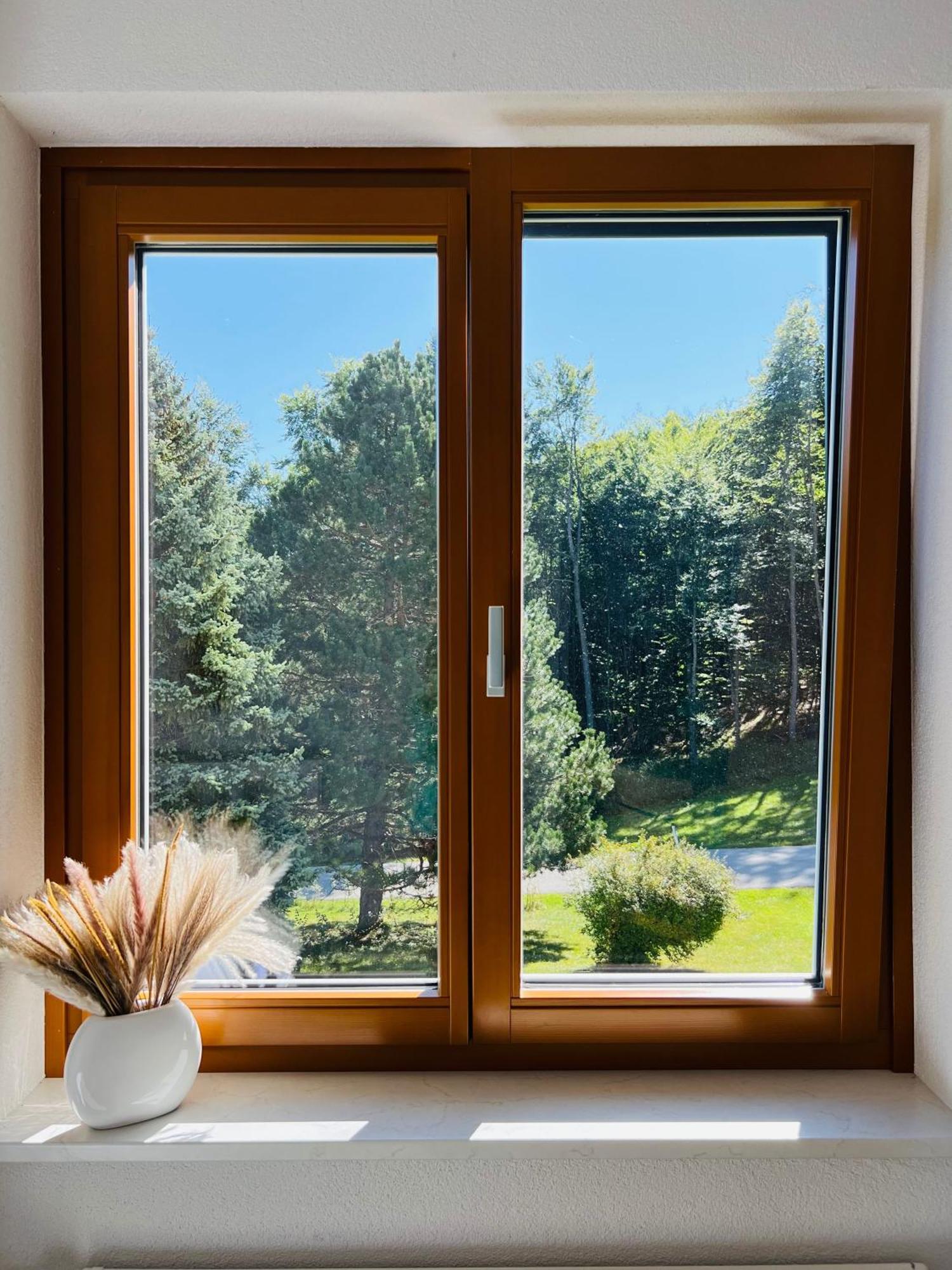 Dorfpension Mariahilfberg Gutenstein Extérieur photo