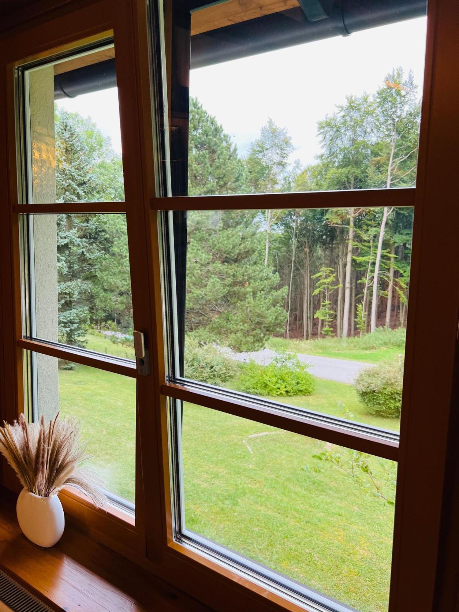 Dorfpension Mariahilfberg Gutenstein Extérieur photo